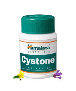 Hiamlaya Cystone kedny healthness 60 tablet