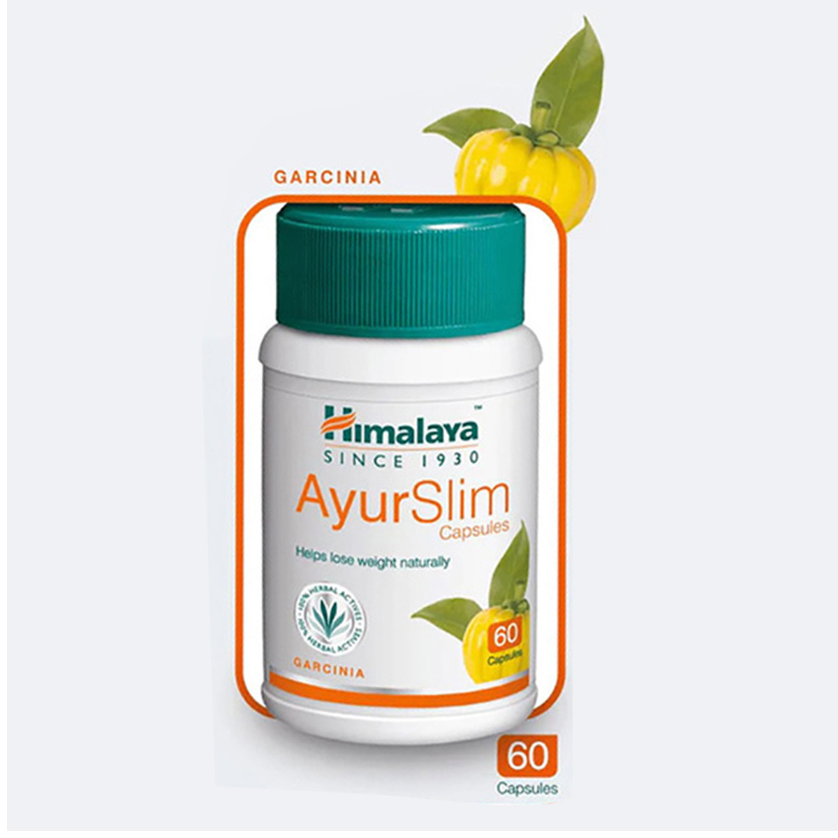Himalaya Ayurslim For slim Figure  60 capsule - Image 5