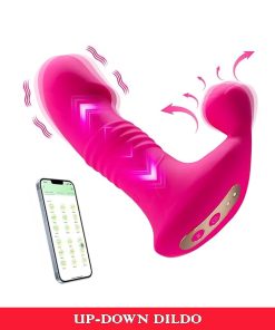 ₀̷₁̷ Up Down App System Panty Vibrator Dildo For Women